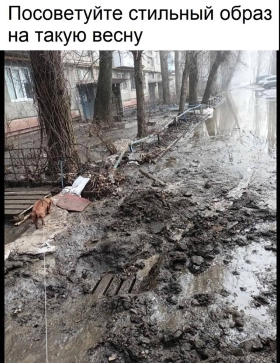 Сезон открыт!😁